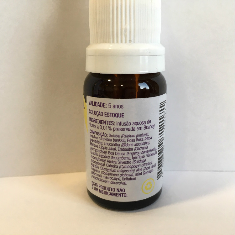 Floral Sg Apoio Emocional 2 Edited.jpg