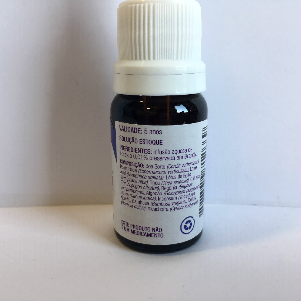 Floral Sg Espiritualidade E Meditacao 2 Edited.jpg