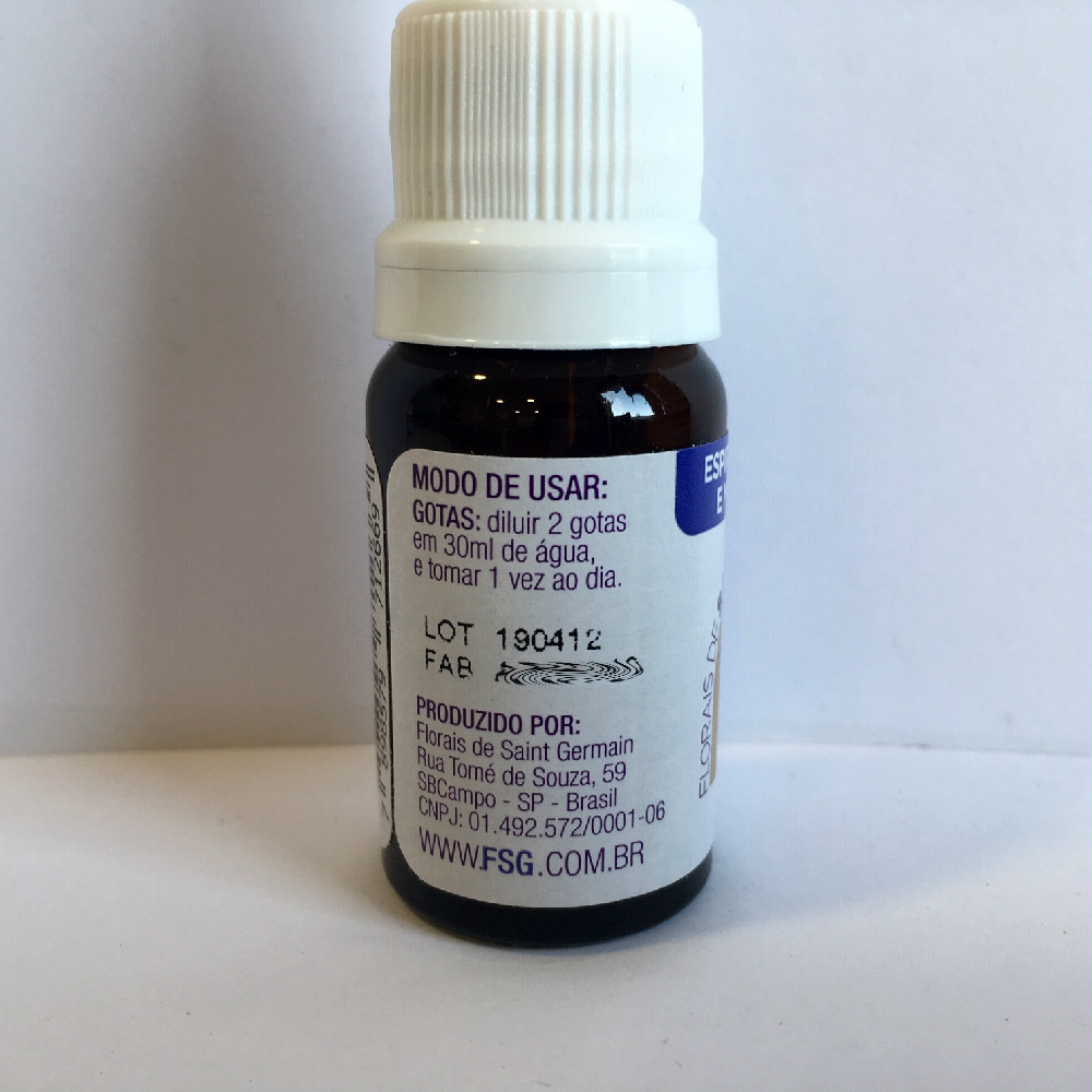 Floral Sg Espiritualidade E Meditacao 3 Edited.jpg