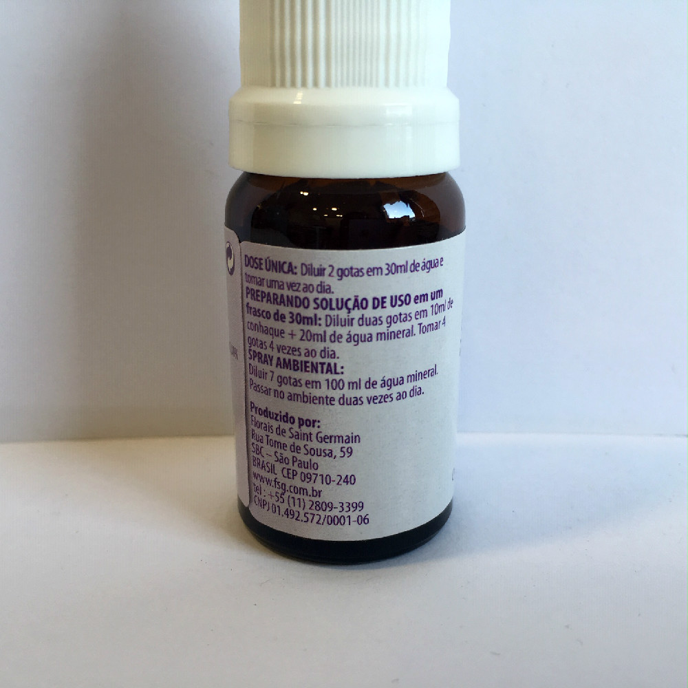 Floral Sg Margarida De Saint Germain 2 Edited.jpg