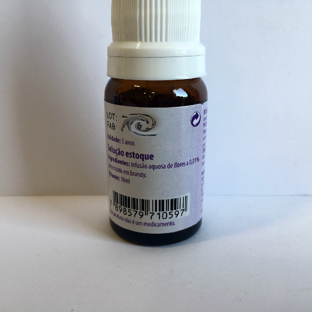 Floral Sg Panicum 3 Edited.jpg