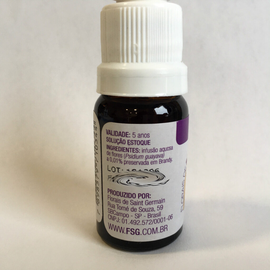 Floral Goiaba Novo 2 Edited.jpg